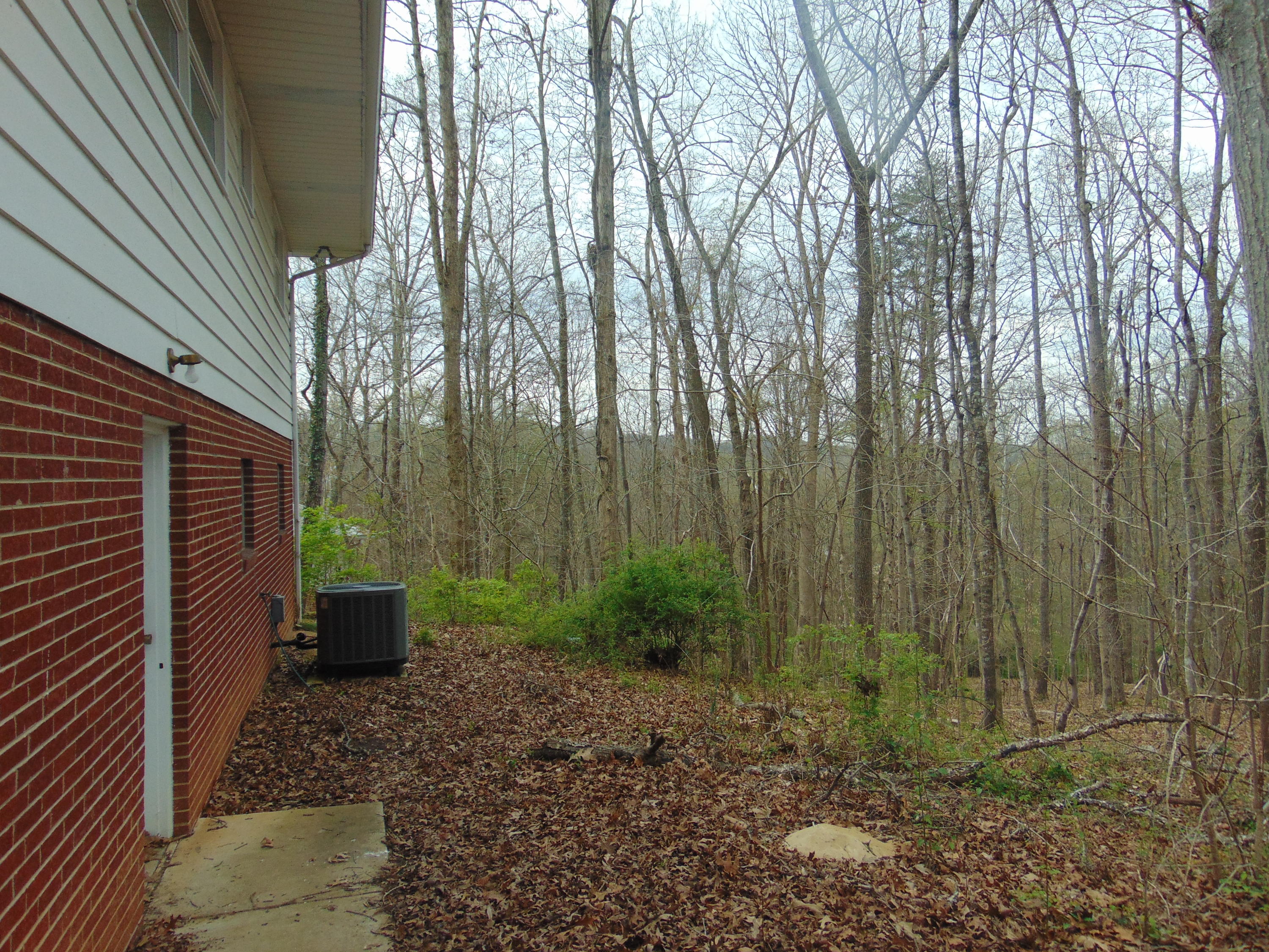 110 Stanton Lane Oak Ridge, TN 37830 - Photo 28 of 32 040