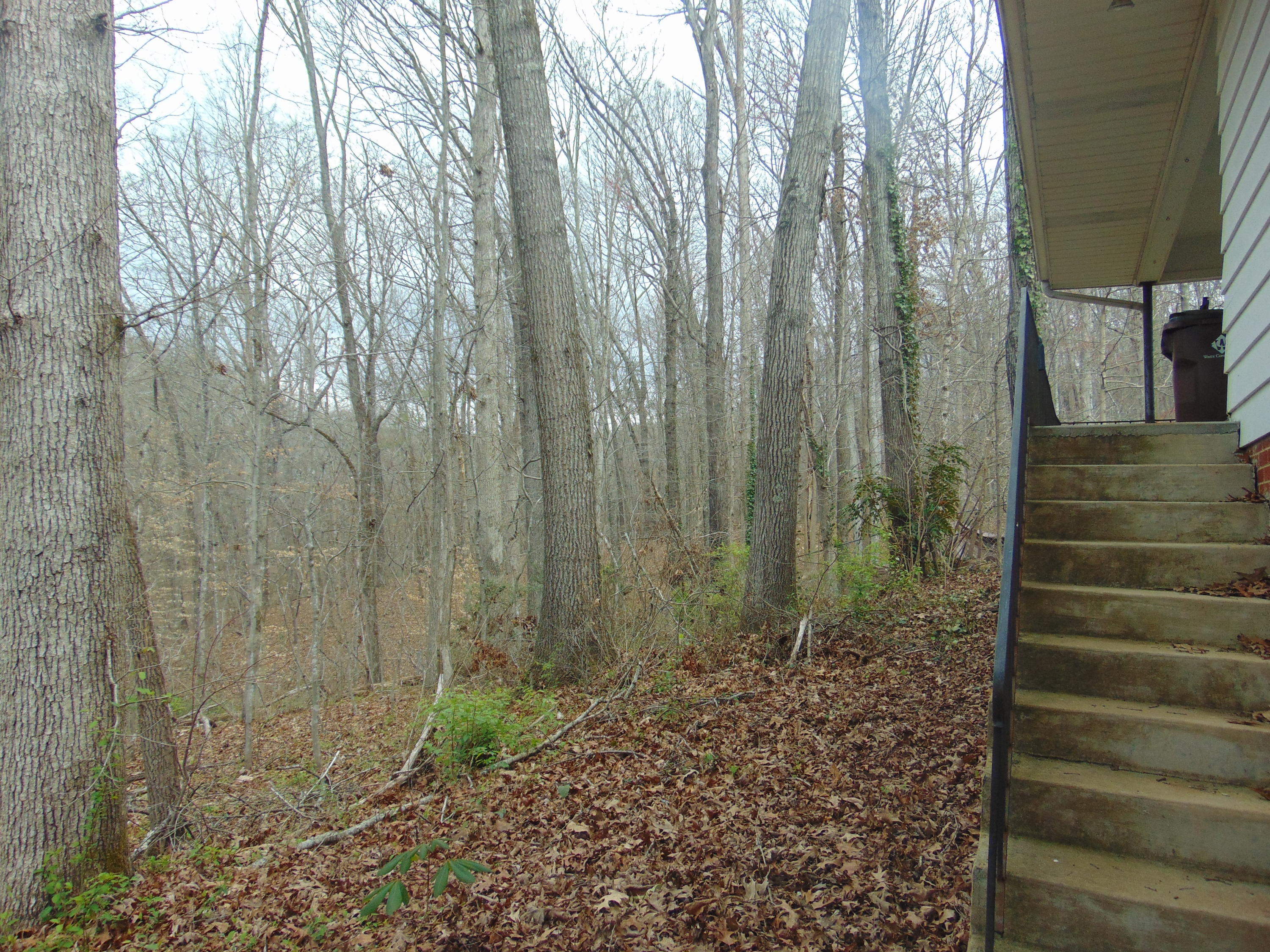110 Stanton Lane Oak Ridge, TN 37830 - Photo 30 of 32 042