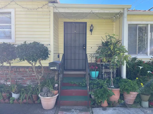 a potted plant in front of a house