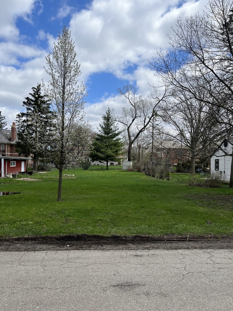 a green field with lots of trees