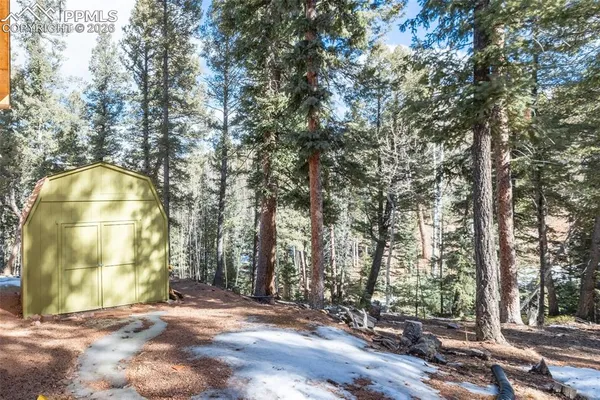 a backyard of a house with large trees