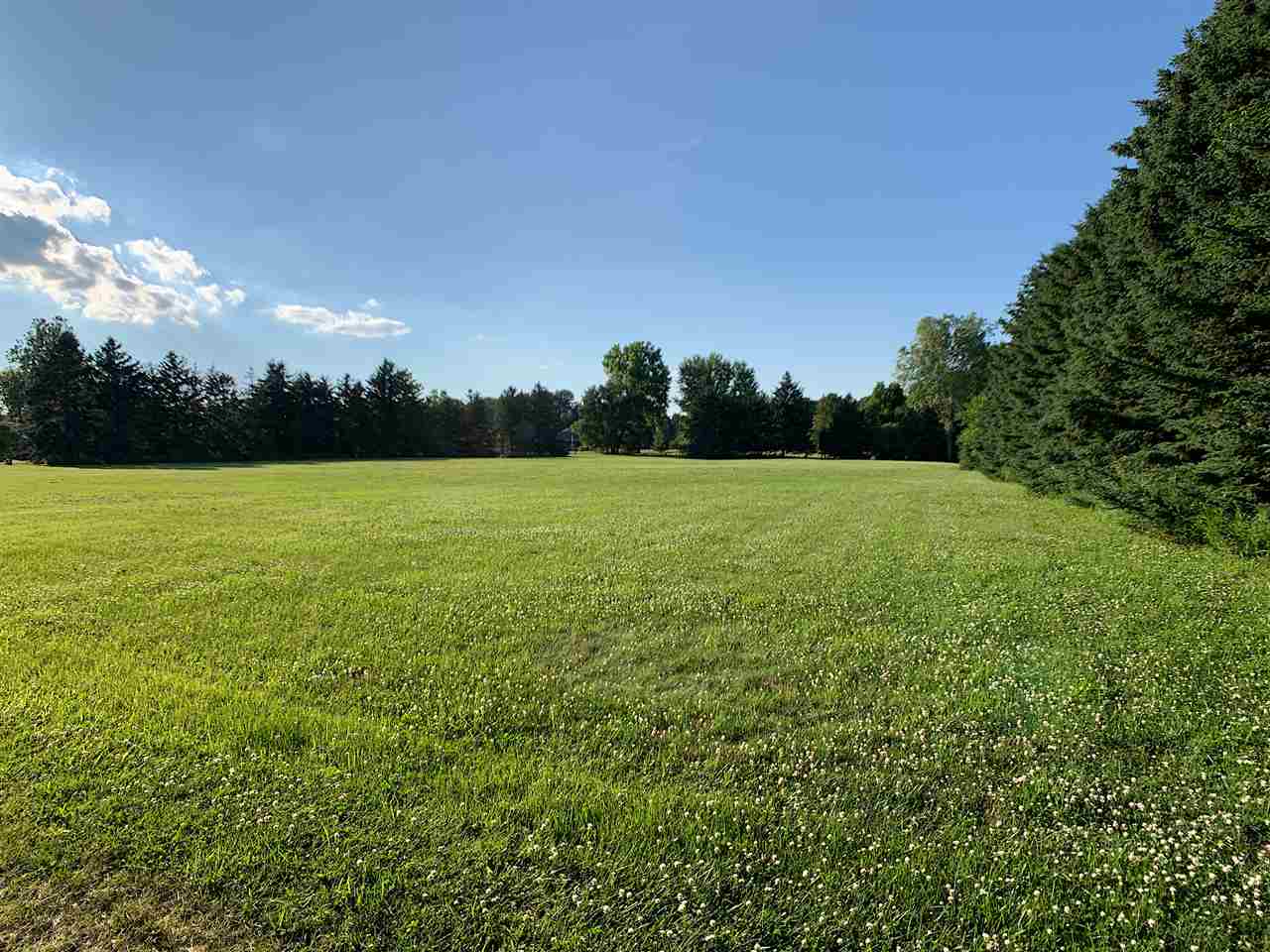 6130 North Chipman Road Henderson, MI 48841 - Photo 26 of 89 50015879-25.JPG