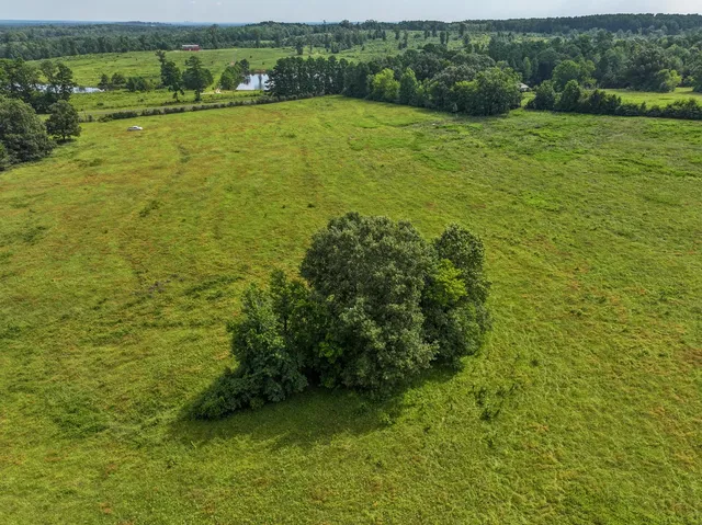 $97,500 | 1 Fm 2867, Henderson, TX 75654