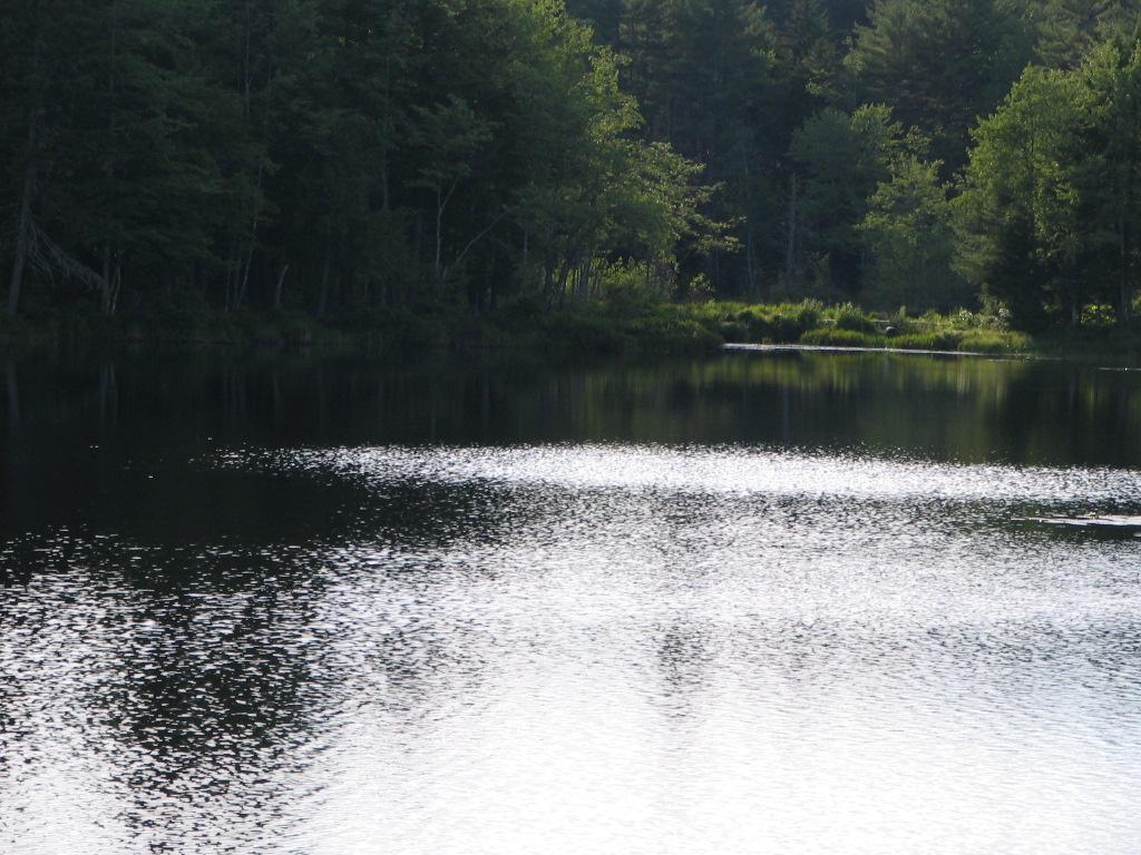 Lot 14 Sunridge Rindge, NH 03461 - Photo 12 of 16
