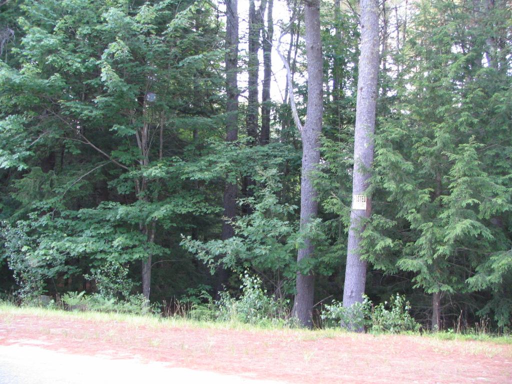 Lot 14 Sunridge Rindge, NH 03461 - Photo 3 of 16