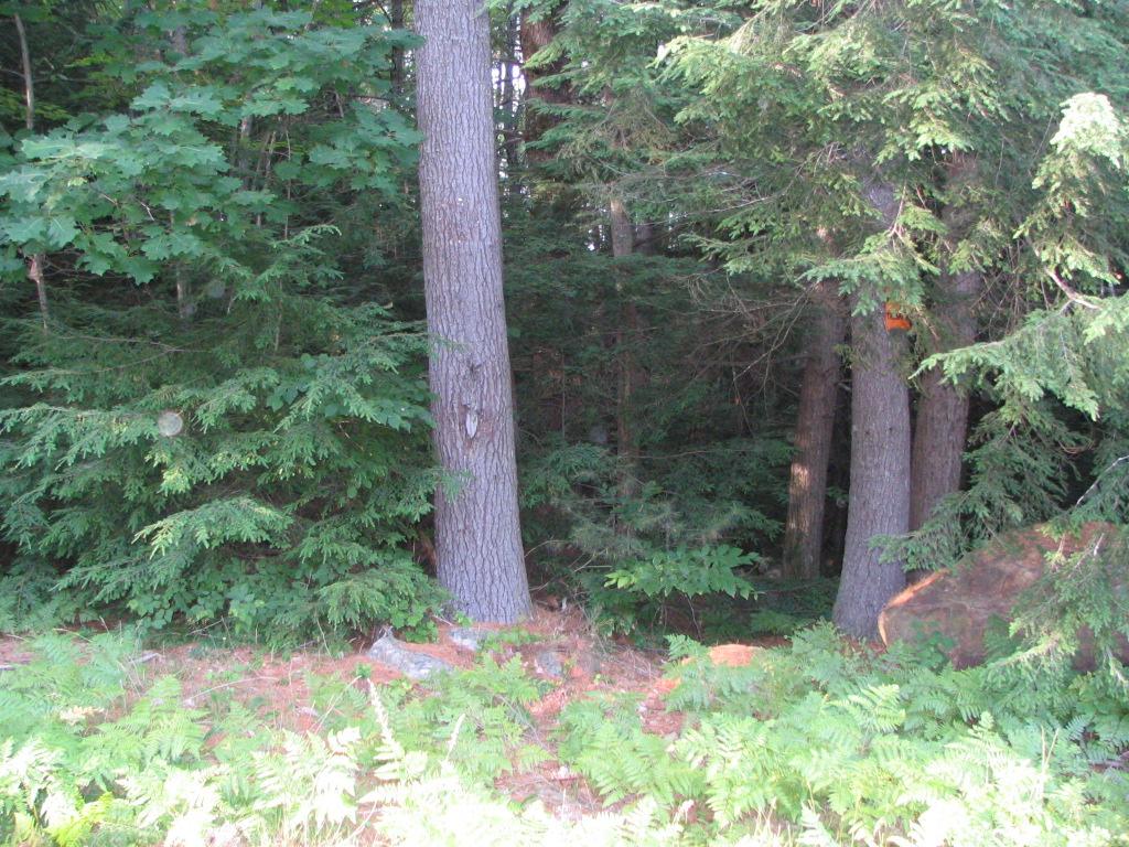 Lot 14 Sunridge Rindge, NH 03461 - Photo 4 of 16