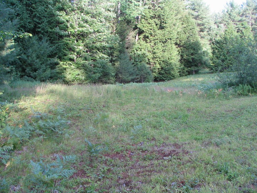 Lot 14 Sunridge Rindge, NH 03461 - Photo 5 of 16