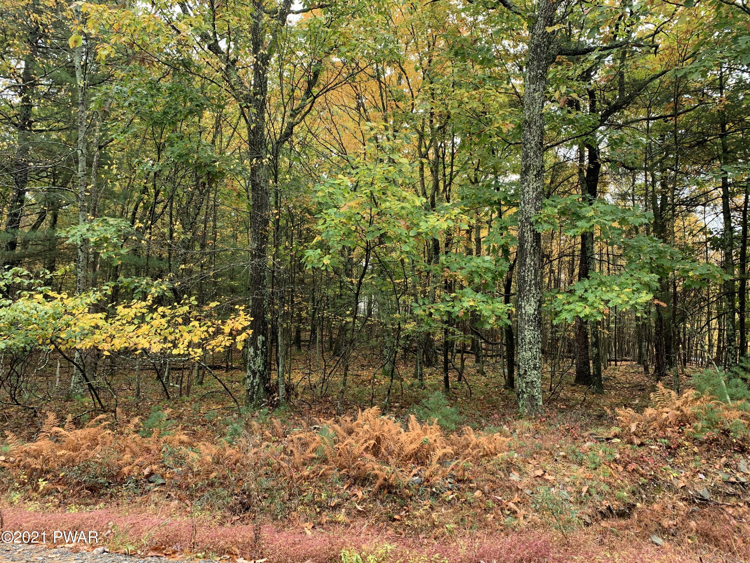 552 Caribou Road Dingmans Ferry, PA 18328 - Photo 4 of 4