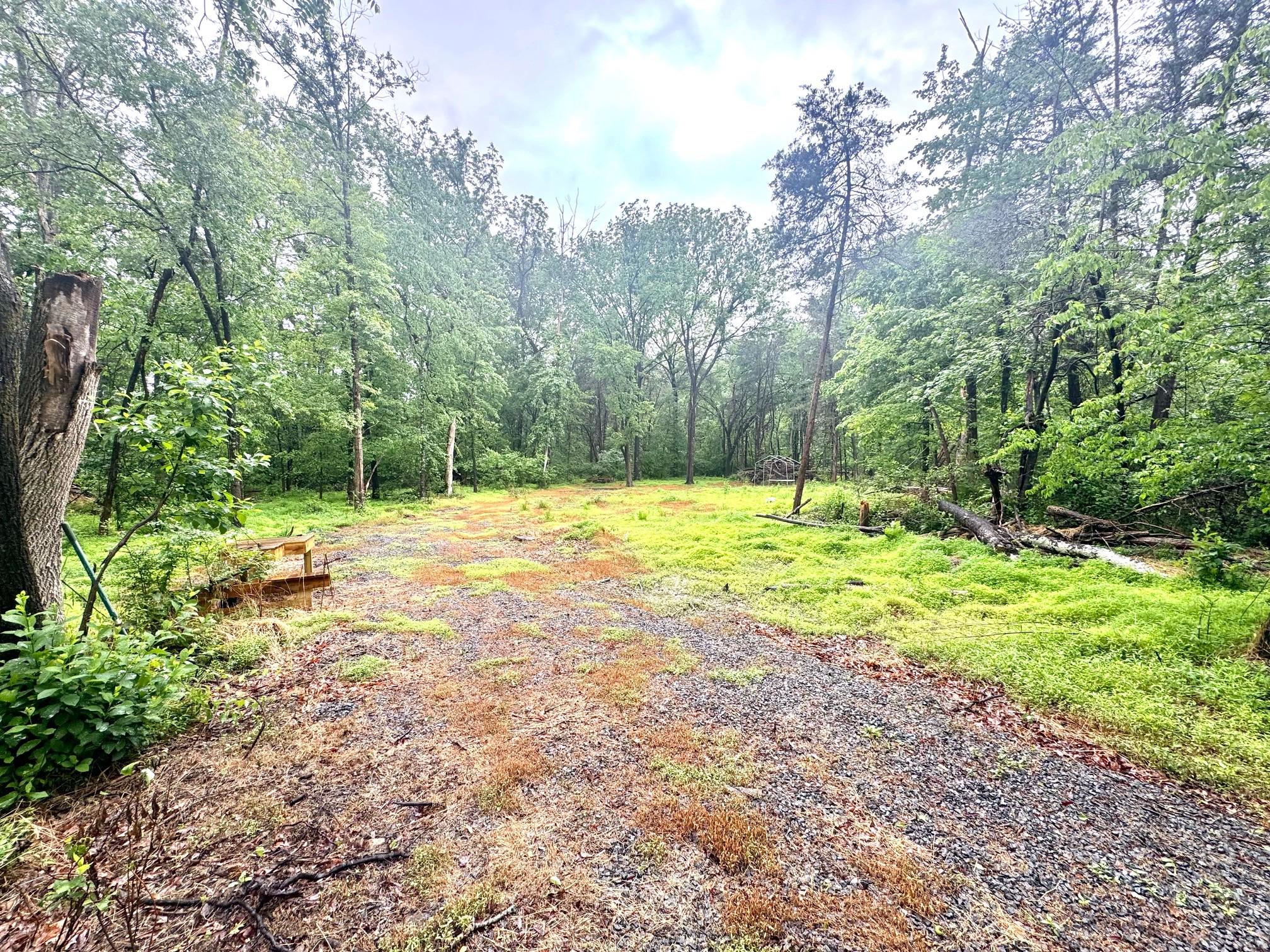 Slaughters Mill Road Mitchells, VA 22729 - Photo 6 of 6 Lots of options, hunt, target practice, build