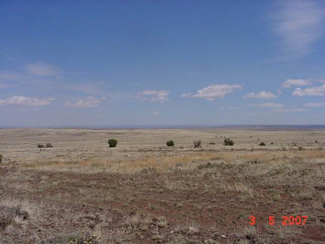 Lot 4 Section 23 T11n R26e Concho Valley Concho, AZ 85924 - Photo 1 of 5