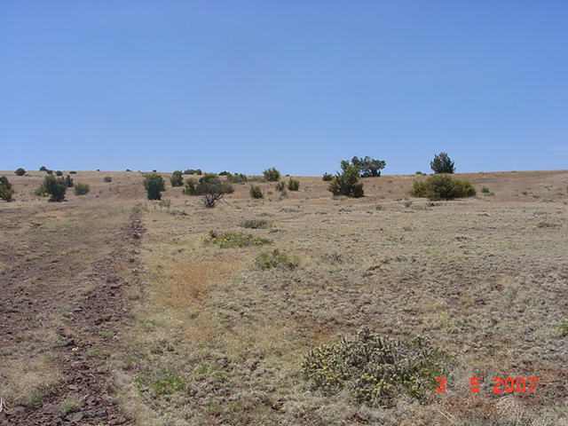 Lot 4 Section 23 T11n R26e Concho Valley Concho, AZ 85924 - Photo 2 of 5