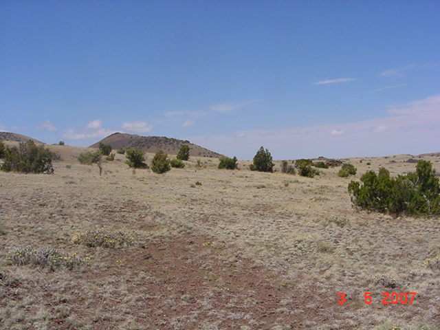 Lot 4 Section 23 T11n R26e Concho Valley Concho, AZ 85924 - Photo 3 of 5