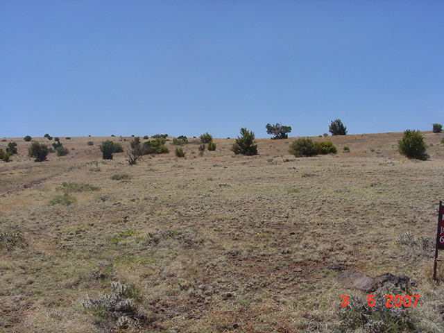 Lot 4 Section 23 T11n R26e Concho Valley Concho, AZ 85924 - Photo 4 of 5