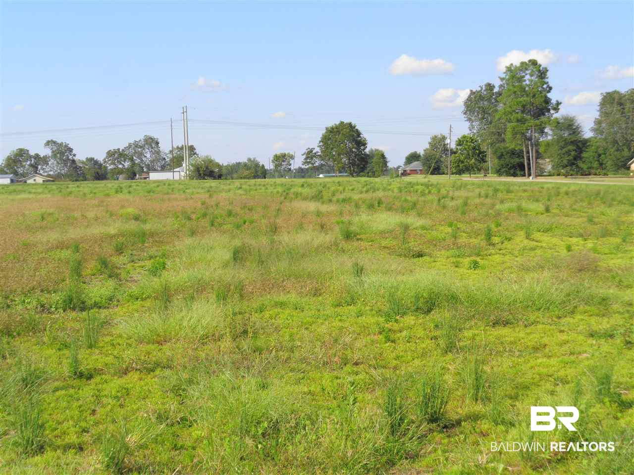 0 Old Bratt Road Atmore, AL 36502 - Photo 9 of 11