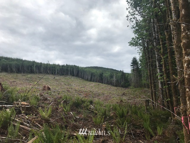 0 West Cloquallum Road Shelton, WA 98584 - Photo 3 of 5