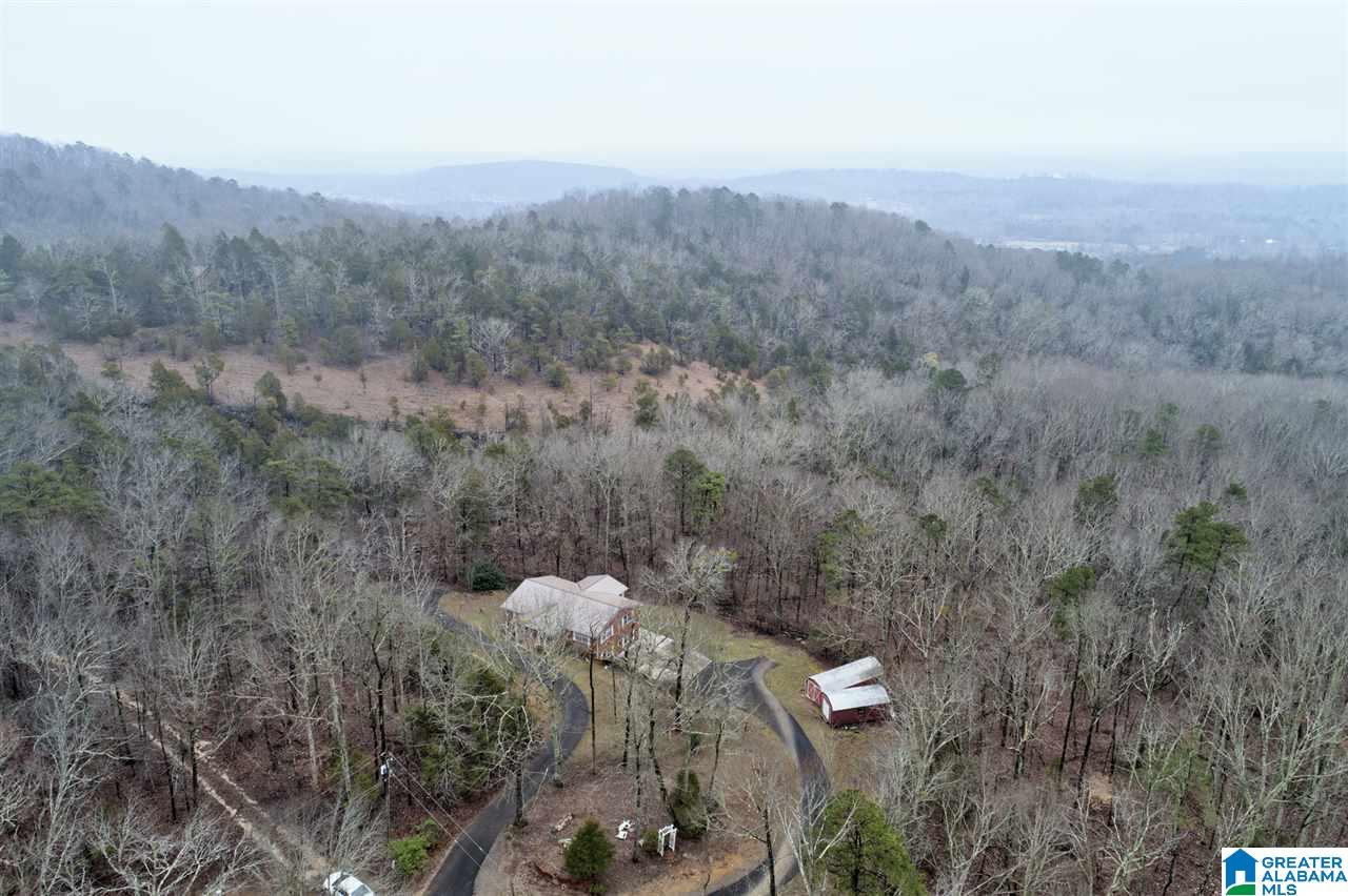 896 Cedar Cliff Road Springville, AL 35146 - Photo 10 of 45
