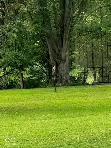 $425,000 | 1416 East 600 North, Windfall, IN 46076