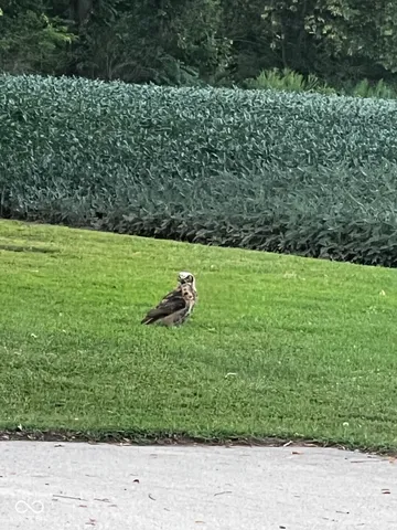 $425,000 | 1416 East 600 North, Windfall, IN 46076