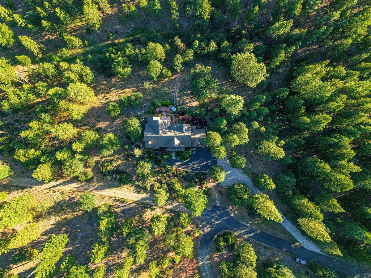 566 Main Ranch Road Quincy, CA 95971 - Photo 44 of 47