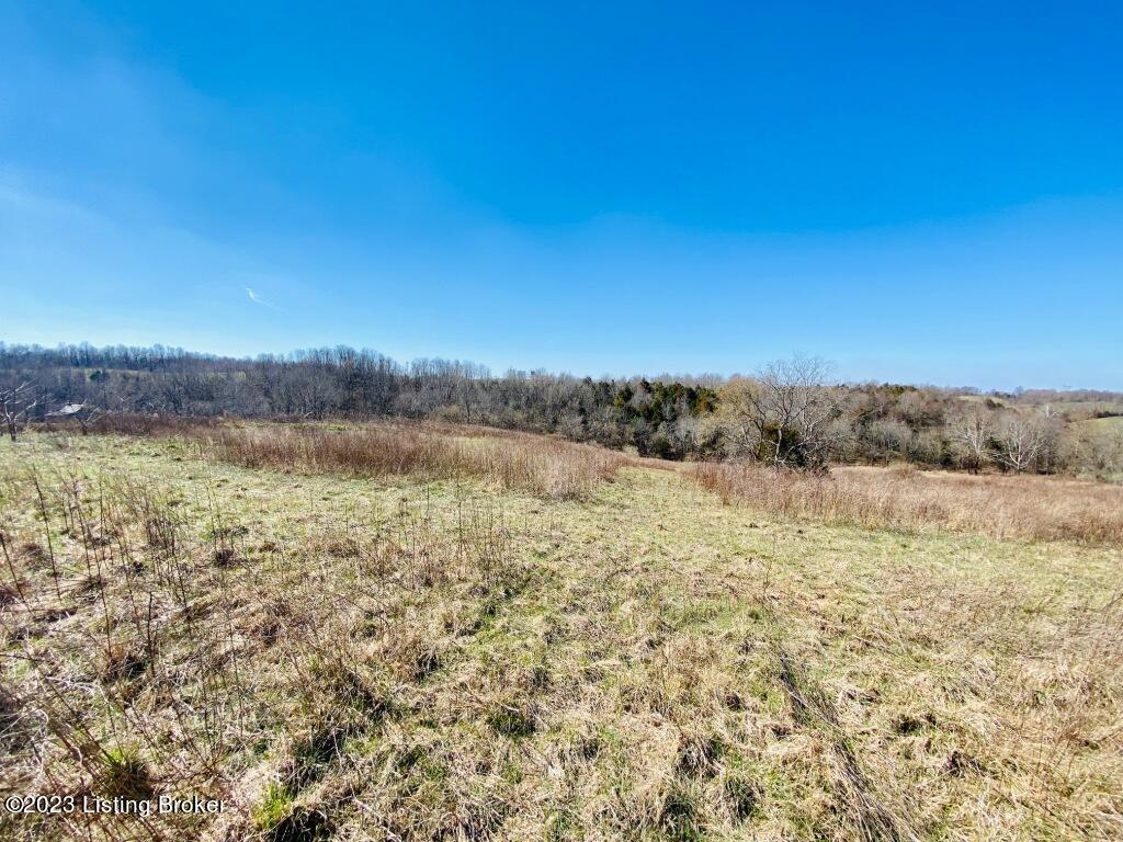 1945 Long Run Road Springfield, KY 40069 - Photo 43 of 81 IMG_2496