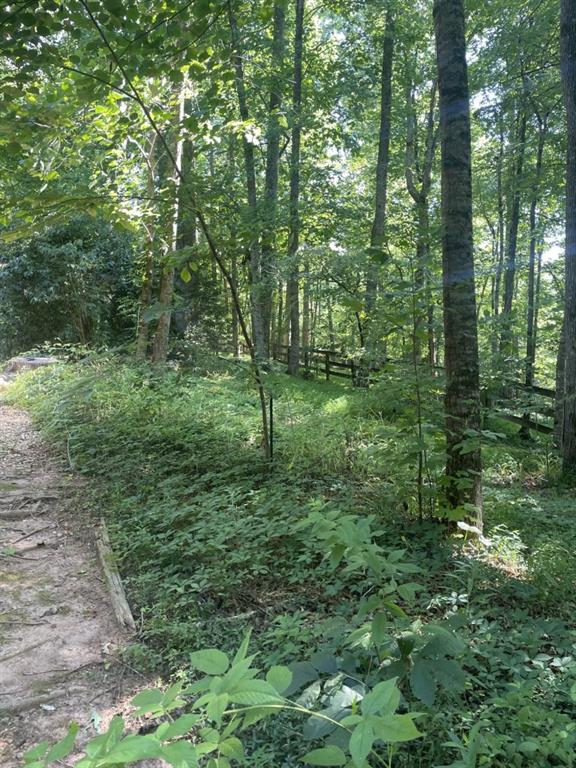988 Rocktree Road Dahlonega, GA 30533 - Photo 53 of 53