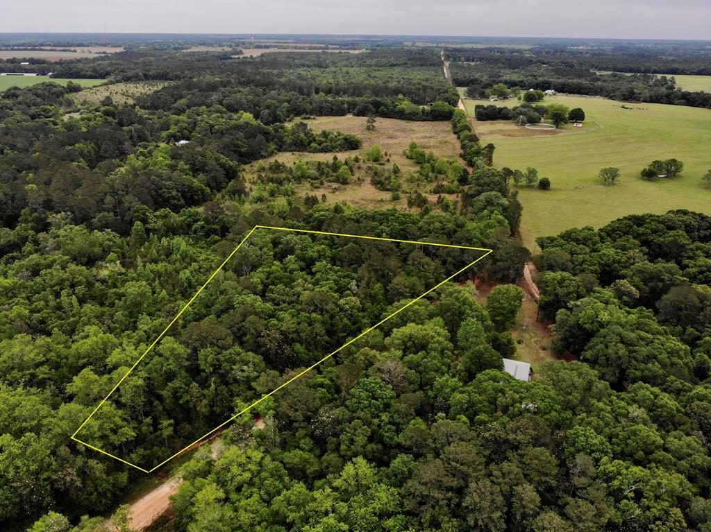 2-ac Corbin Road Newton, AL 36352 - Photo 10 of 15