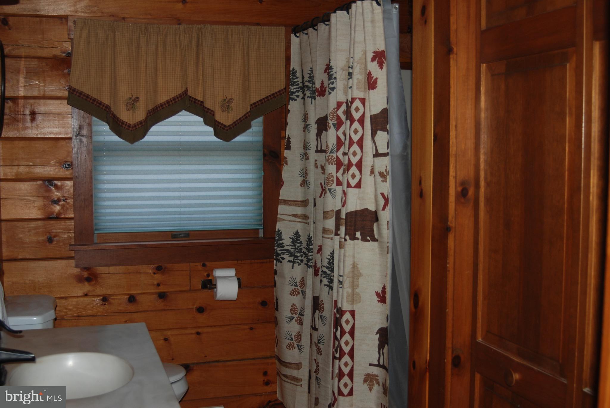 314 Decatur Street Elizabethtown, PA 17022 - Photo 11 of 24 Bathroom
