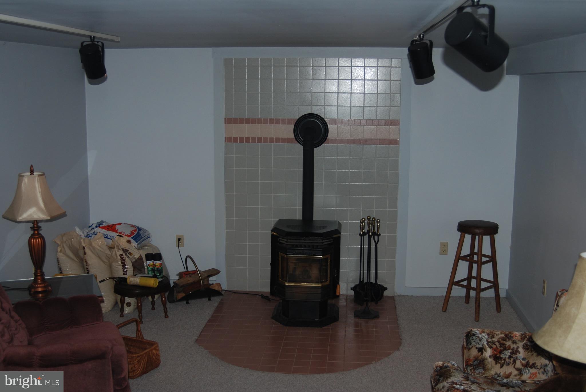 314 Decatur Street Elizabethtown, PA 17022 - Photo 14 of 24 Lower Level Family Room with wood pellet stove