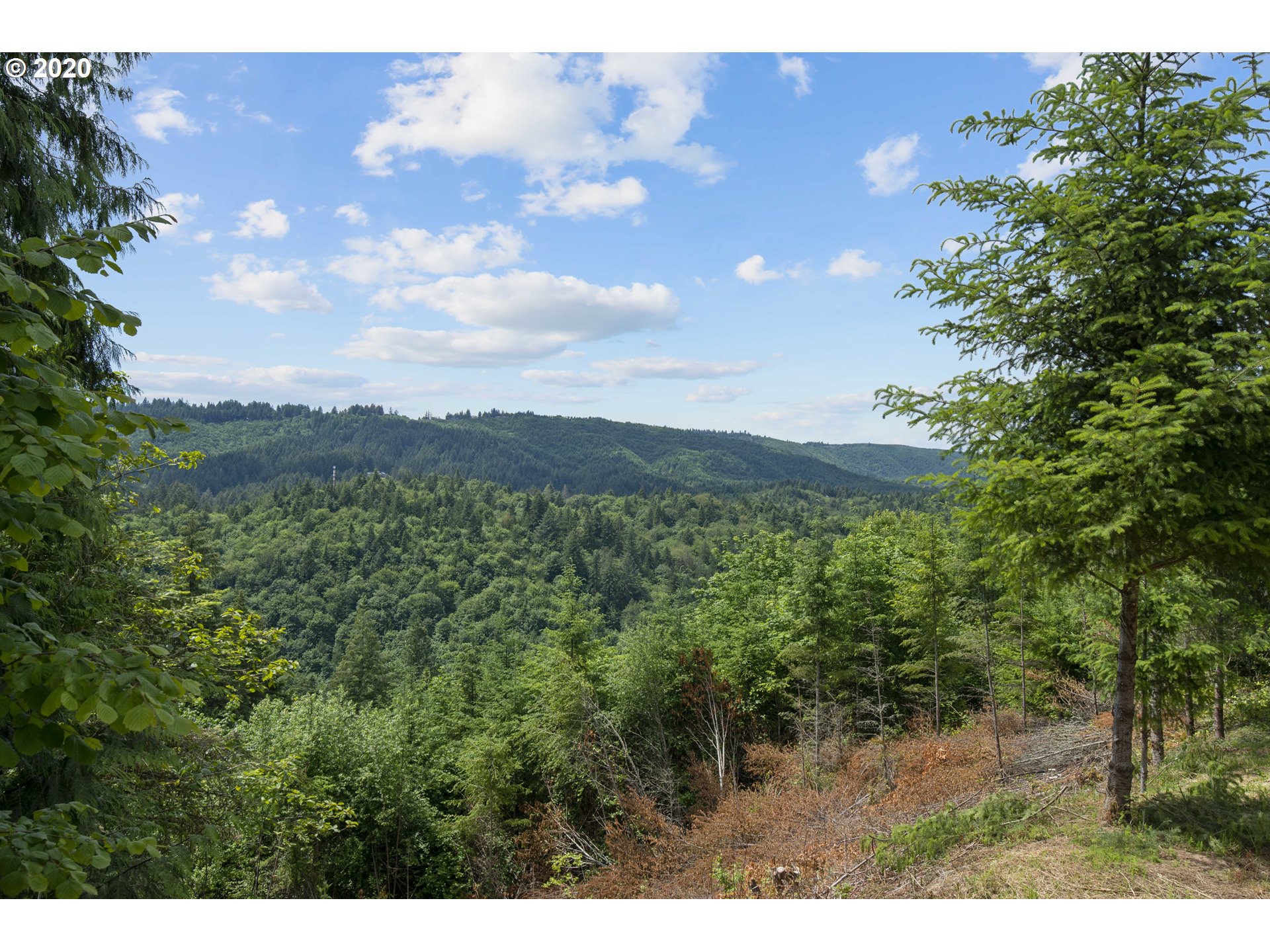 16245 Northwest McNamee Road Portland, OR 97231 - Photo 32 of 32 a view of a city with lush green forest