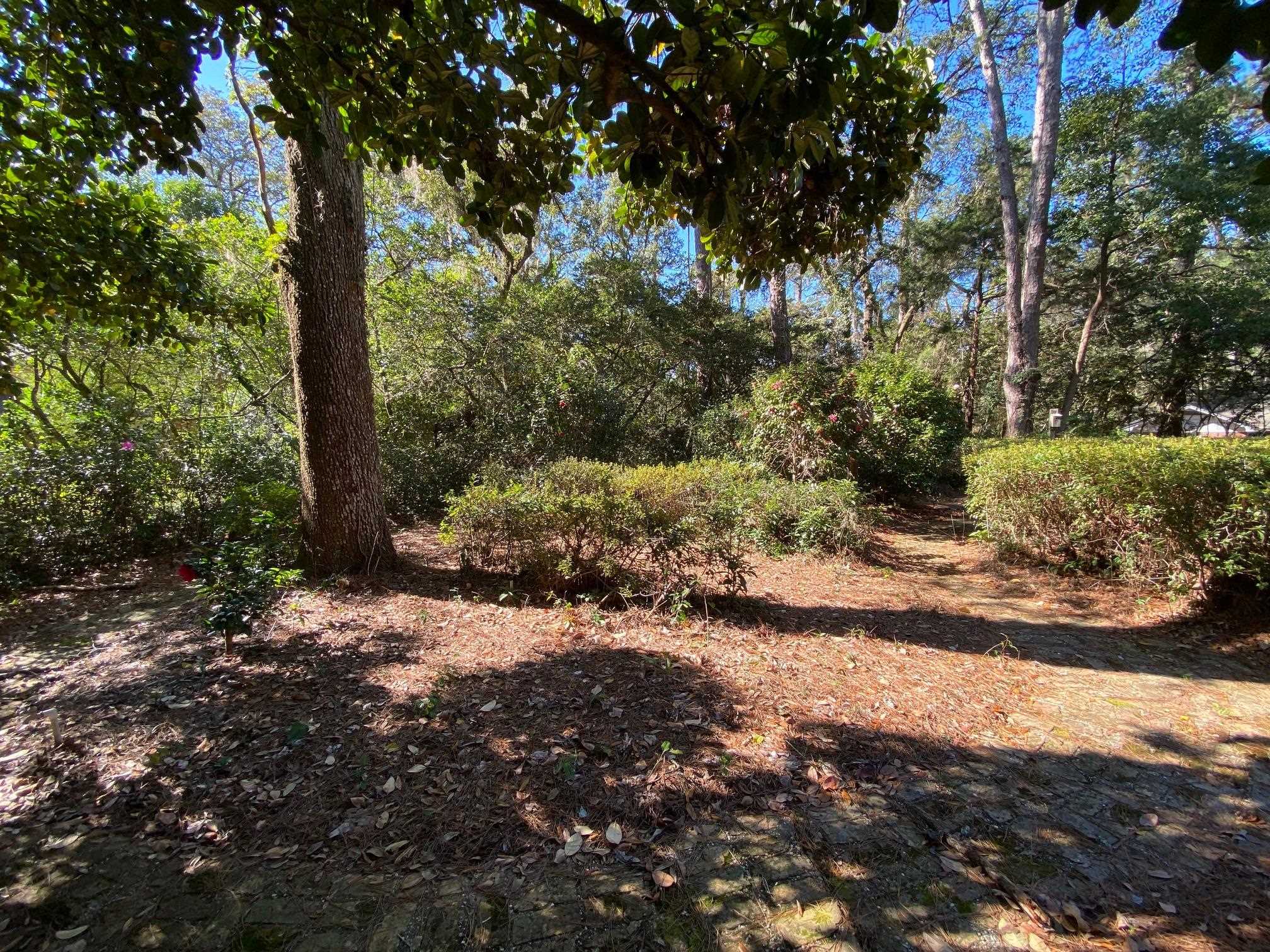 1509 Raa Avenue Tallahassee, FL 32303 - Photo 19 of 21