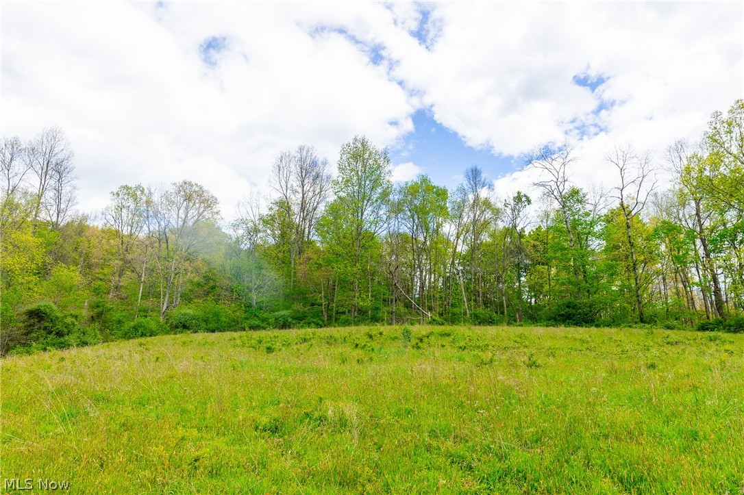 69800 Skull Fork Road Freeport, OH 43973 - Photo 45 of 50