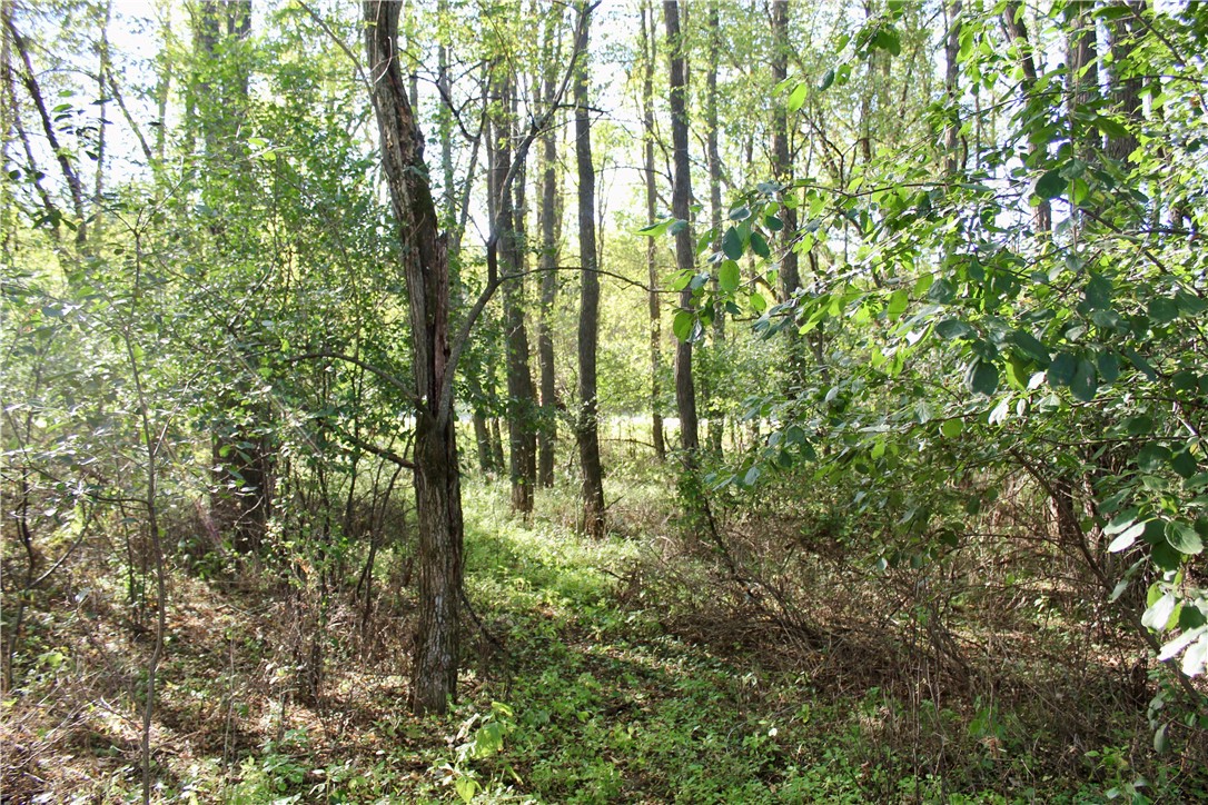 0 South Lowes Creek Road Eau Claire, WI 54701 - Photo 24 of 59