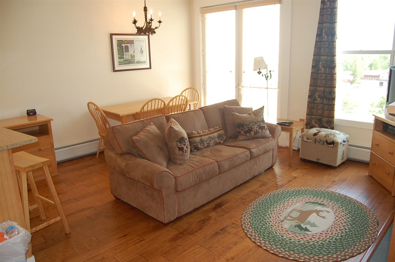 761 Stratton Access (long Trail) Road, Unit 441 South Londonderry, VT 05155 - Photo 8 of 14