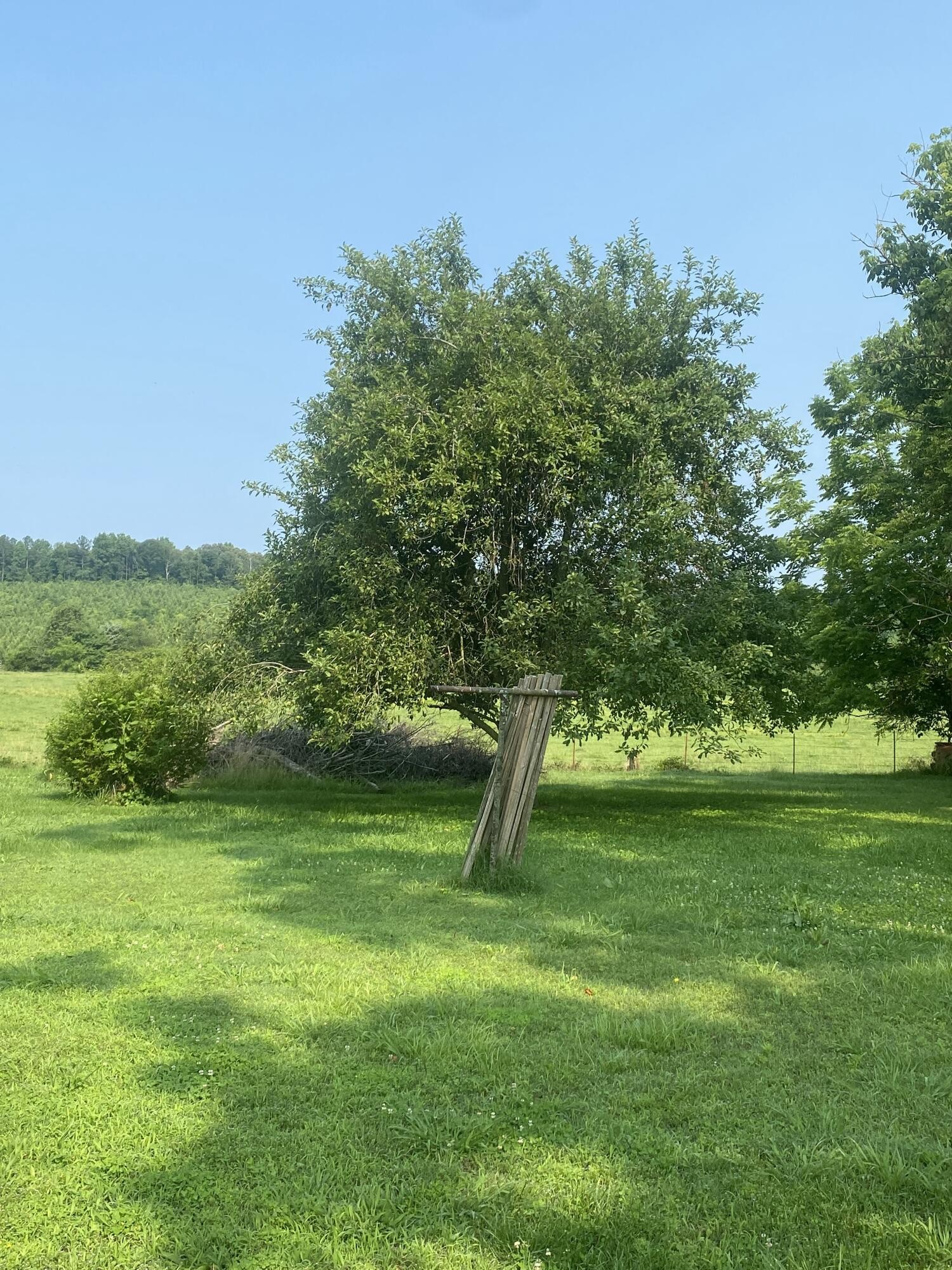 1554 Red Hill Valley Road Southeast Cleveland, TN 37323 - Photo 7 of 16 Gallery Image 7