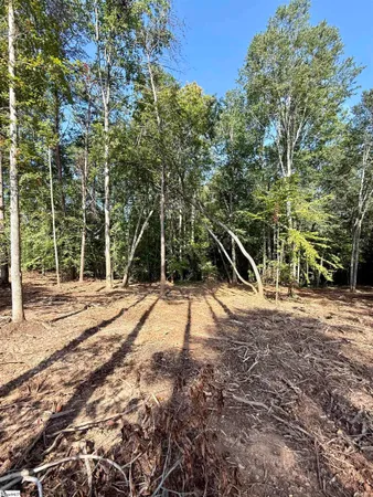 $435,000 | 0 Thompson Road, Unit LOT 3, Greer, SC 29651