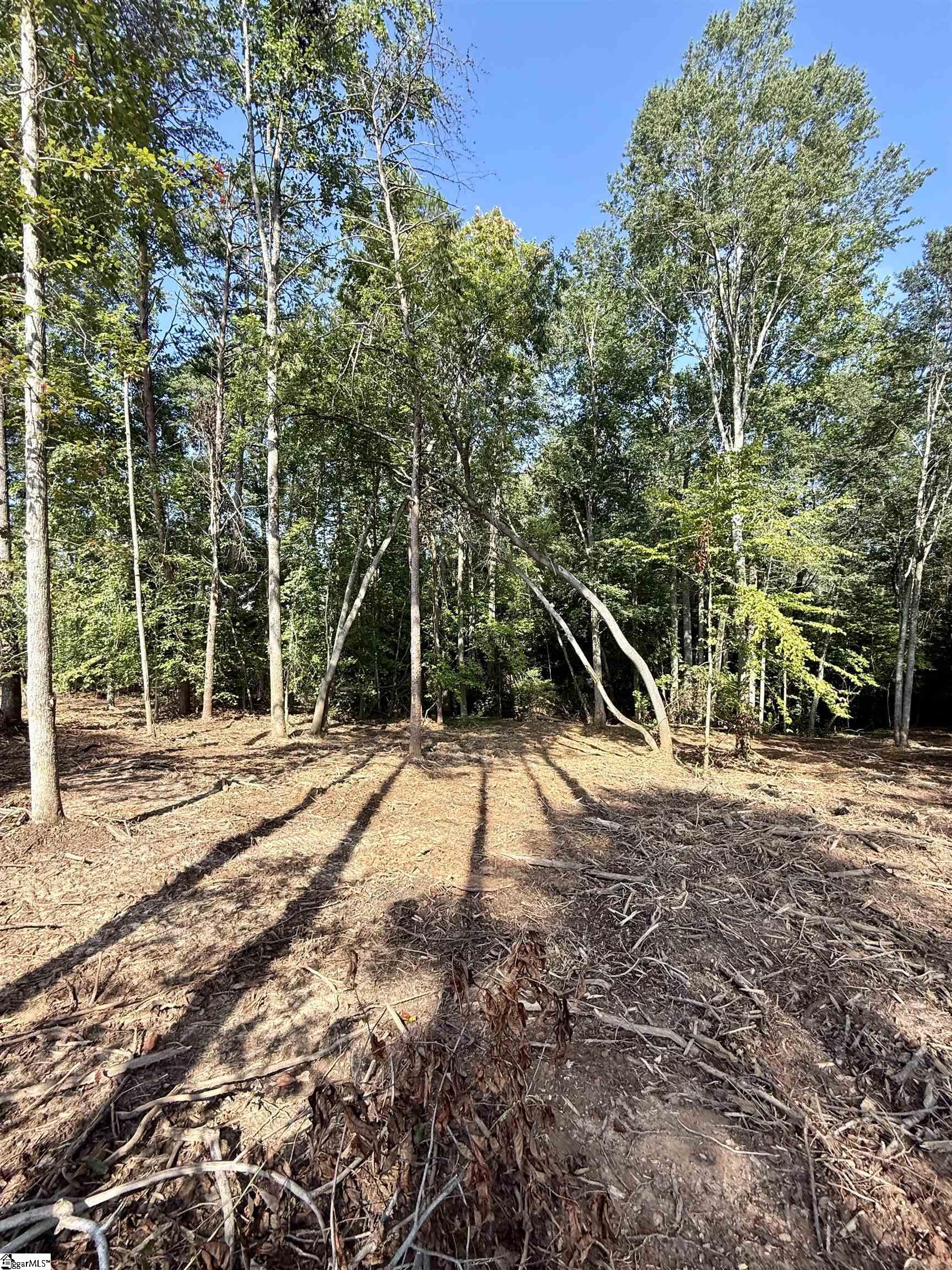 0 Thompson Road, Unit LOT 3 Greer, SC 29651 - Photo 1 of 16