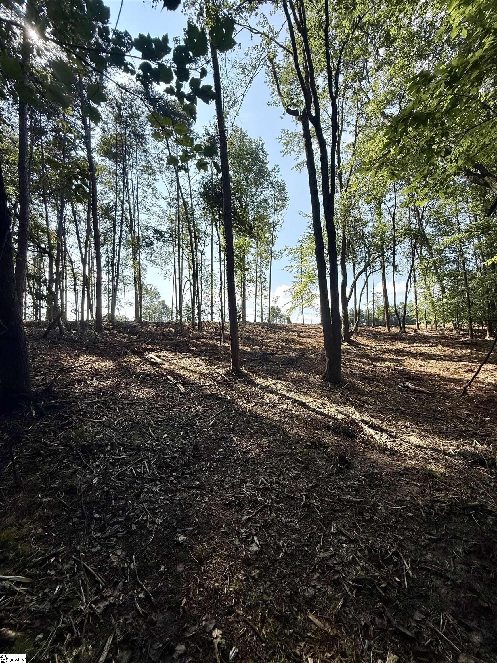 0 Thompson Road, Unit LOT 3 Greer, SC 29651 - Photo 13 of 16
