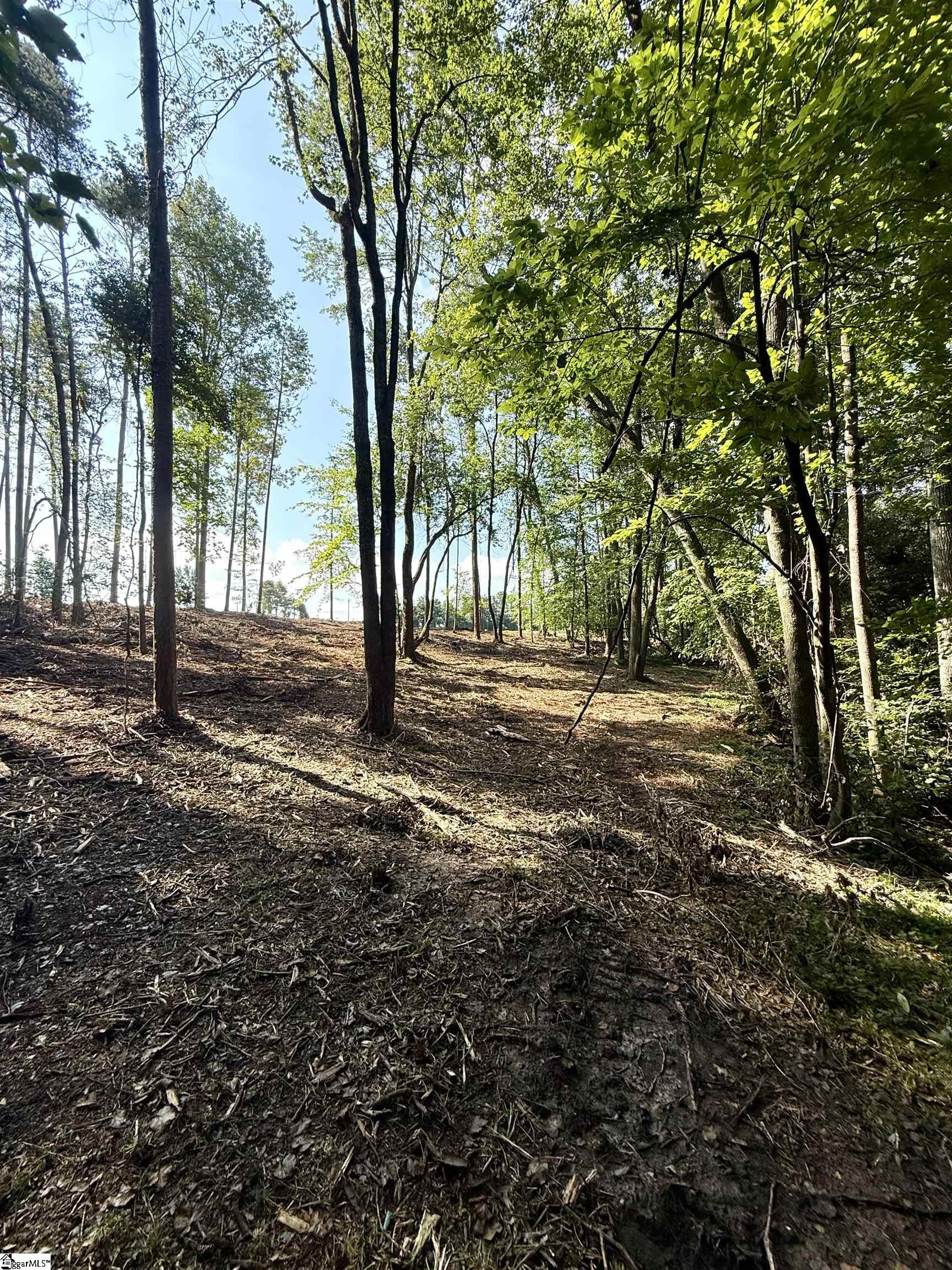 0 Thompson Road, Unit LOT 3 Greer, SC 29651 - Photo 14 of 16