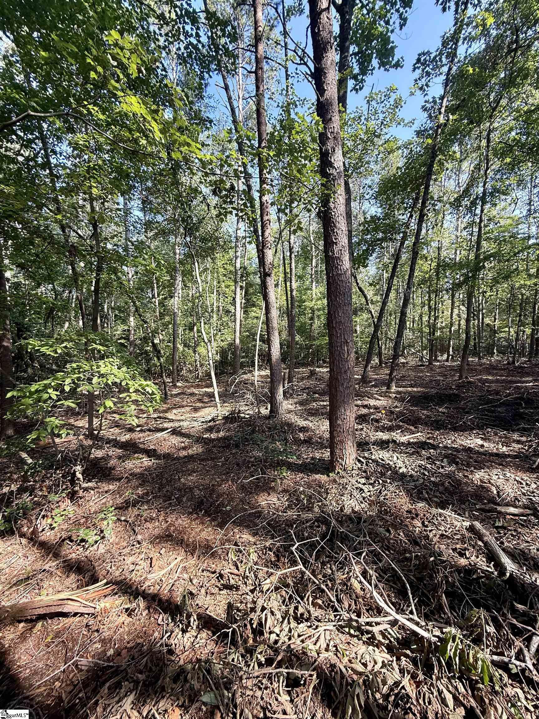 0 Thompson Road, Unit LOT 3 Greer, SC 29651 - Photo 15 of 16