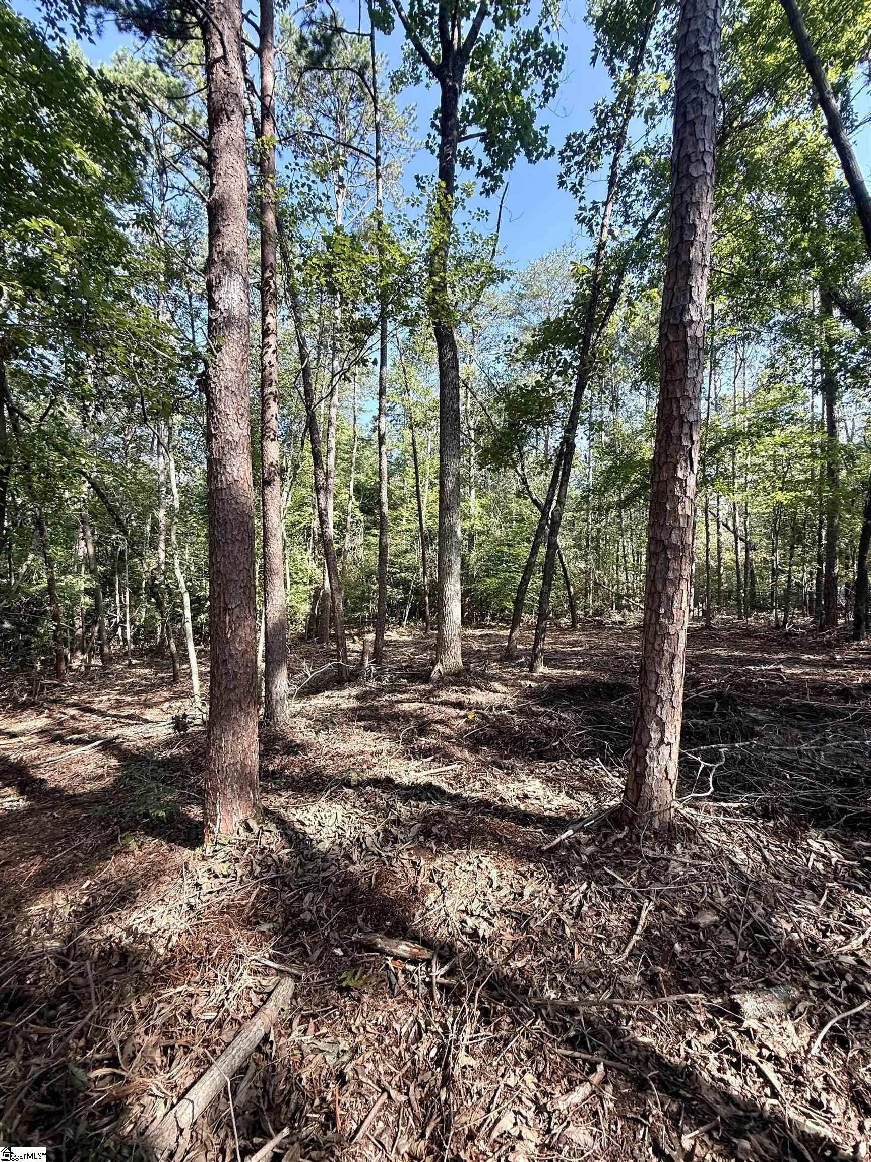 0 Thompson Road, Unit LOT 3 Greer, SC 29651 - Photo 16 of 16
