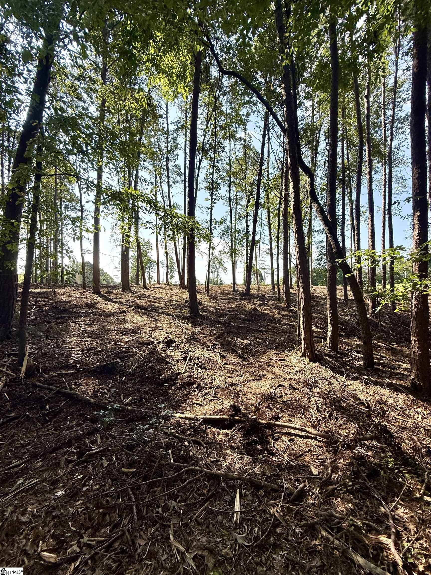 0 Thompson Road, Unit LOT 3 Greer, SC 29651 - Photo 3 of 16
