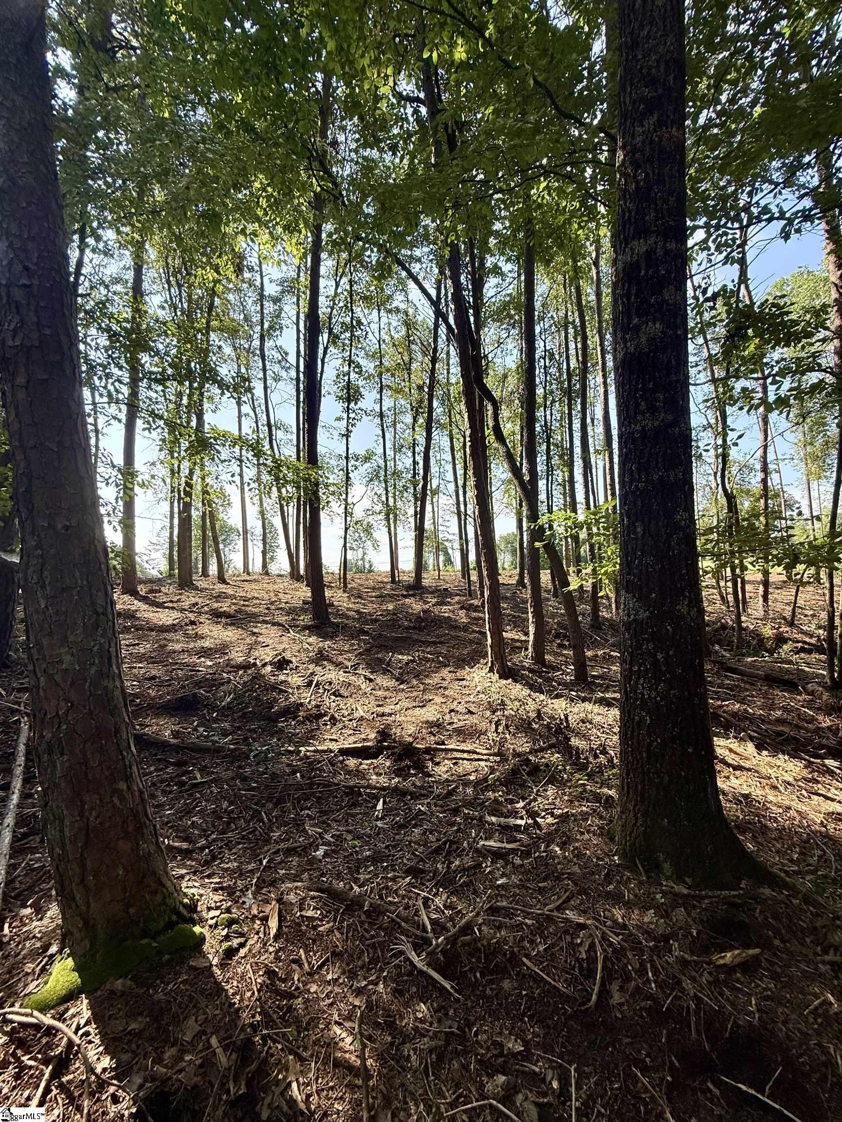 0 Thompson Road, Unit LOT 3 Greer, SC 29651 - Photo 4 of 16