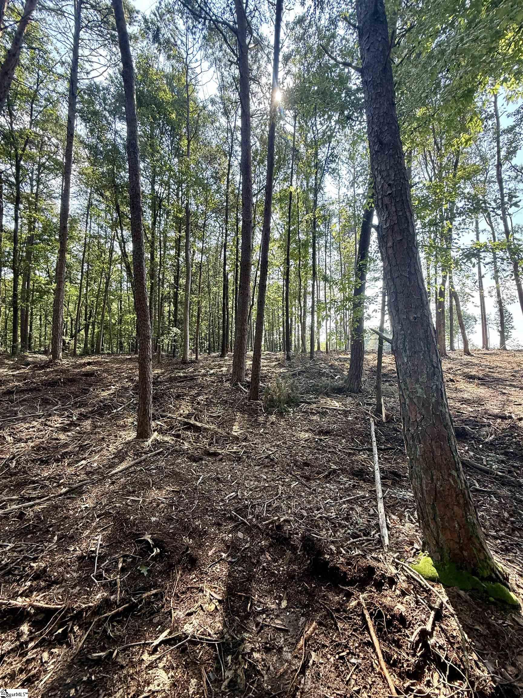 0 Thompson Road, Unit LOT 3 Greer, SC 29651 - Photo 5 of 16