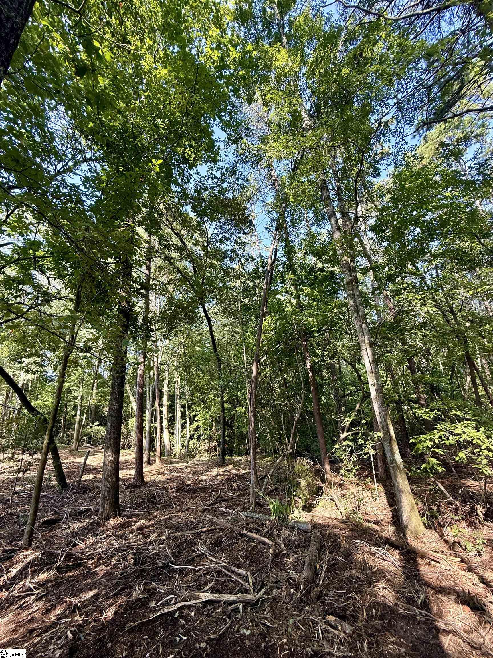 0 Thompson Road, Unit LOT 3 Greer, SC 29651 - Photo 6 of 16