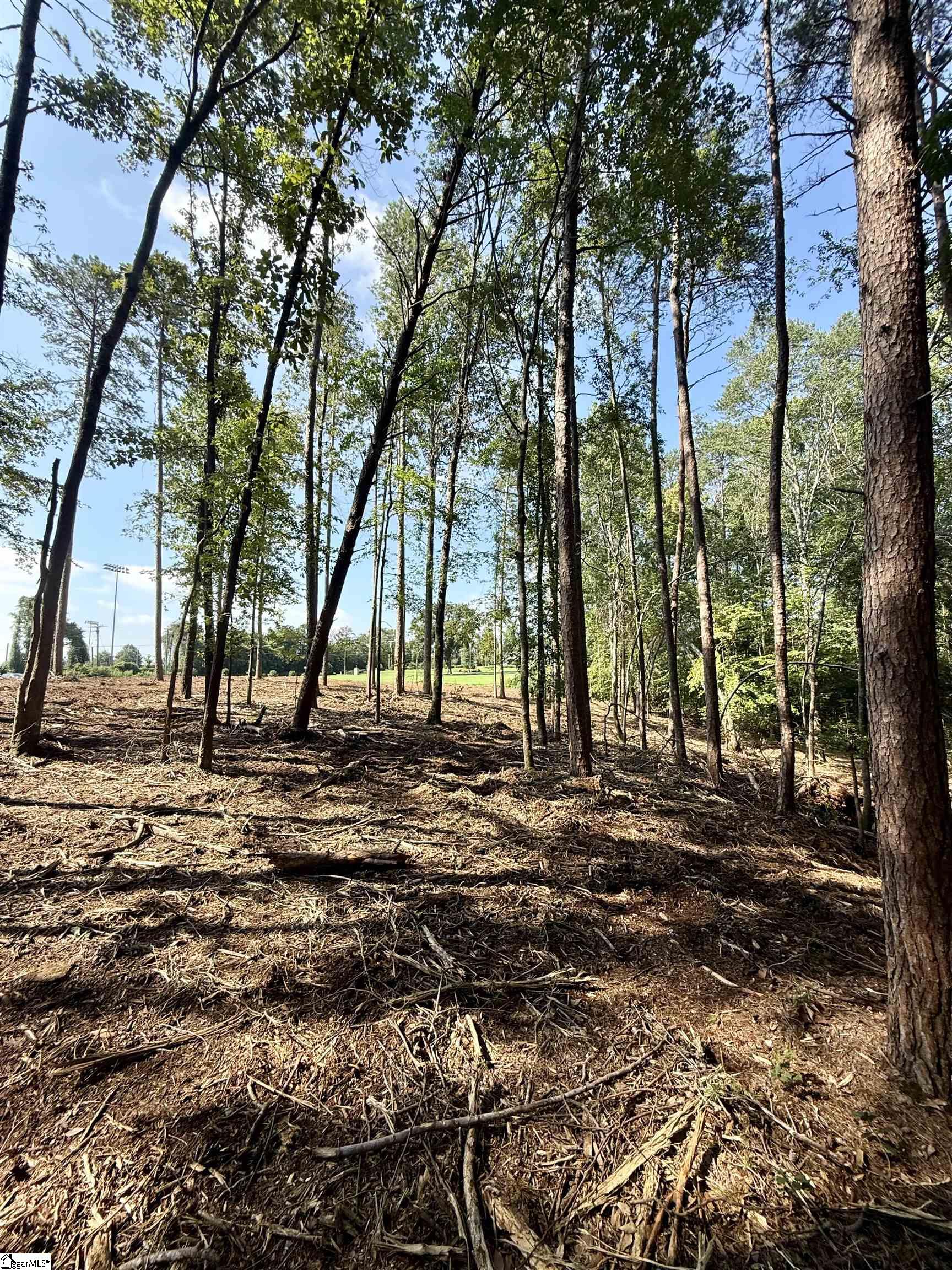 0 Thompson Road, Unit LOT 3 Greer, SC 29651 - Photo 7 of 16