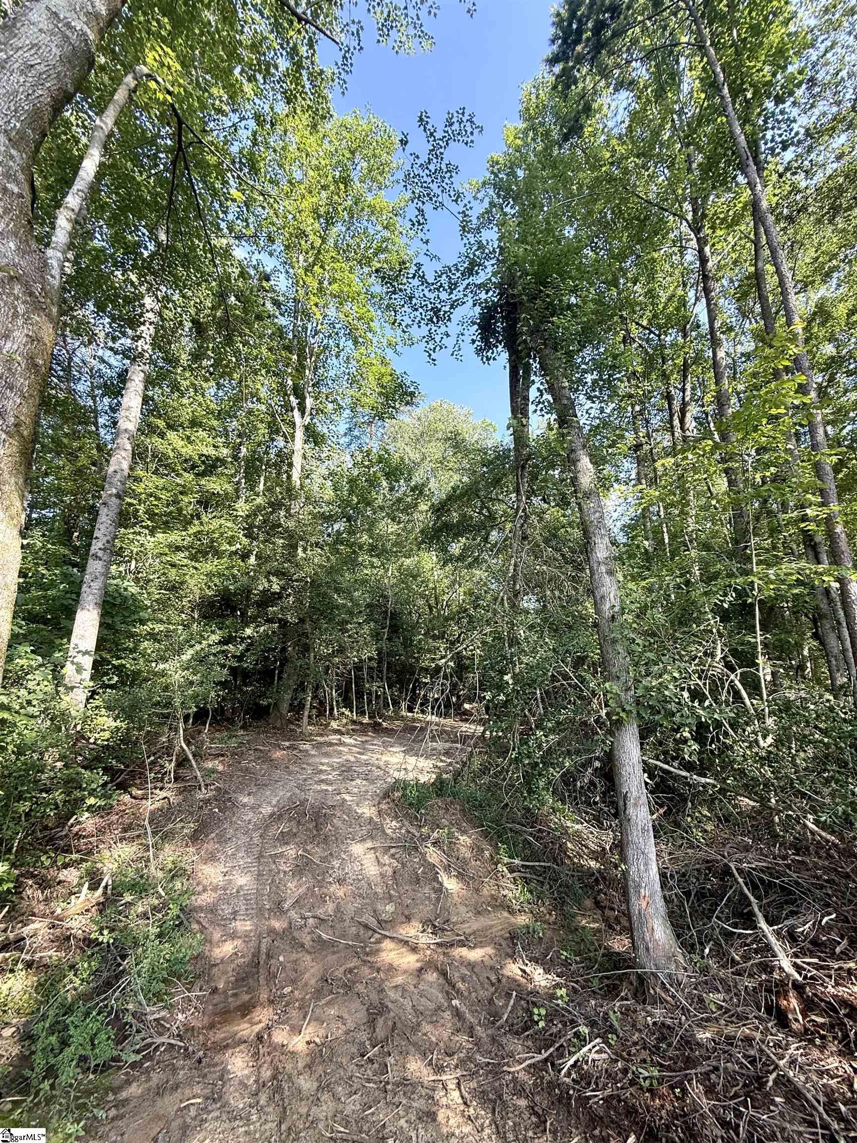 0 Thompson Road, Unit LOT 3 Greer, SC 29651 - Photo 10 of 16