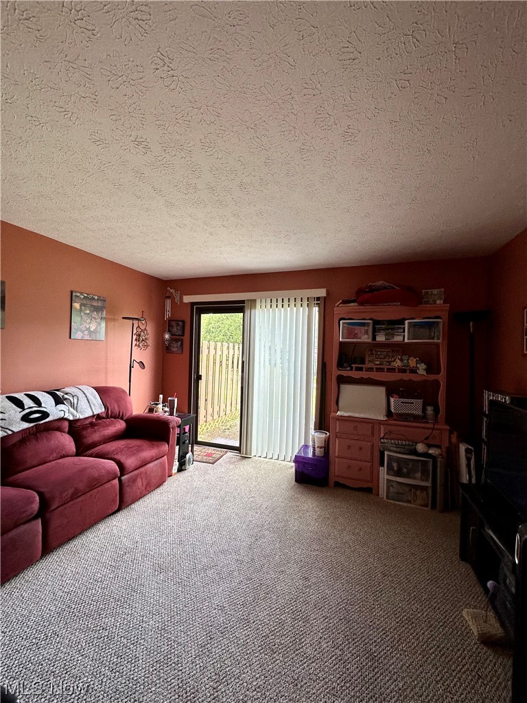 5195 Cline Road, Unit C Kent, OH 44240 - Photo 7 of 15 Living room with carpet floors and a textured ceiling
