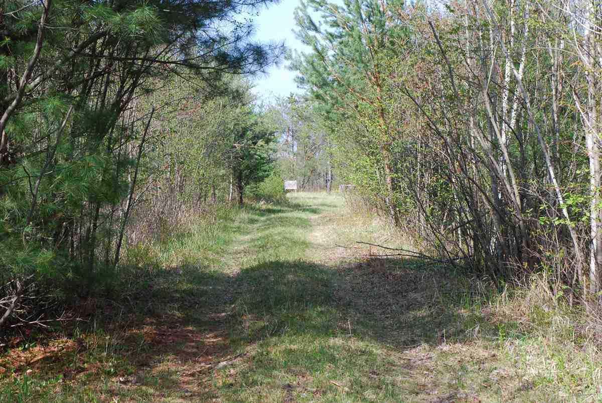0 South Barlow Road Mikado, MI 48745 - Photo 25 of 28