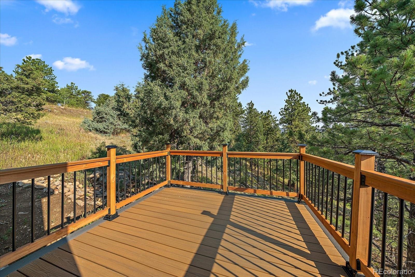 186 Bunny Road Bailey, CO 80421 - Photo 21 of 28