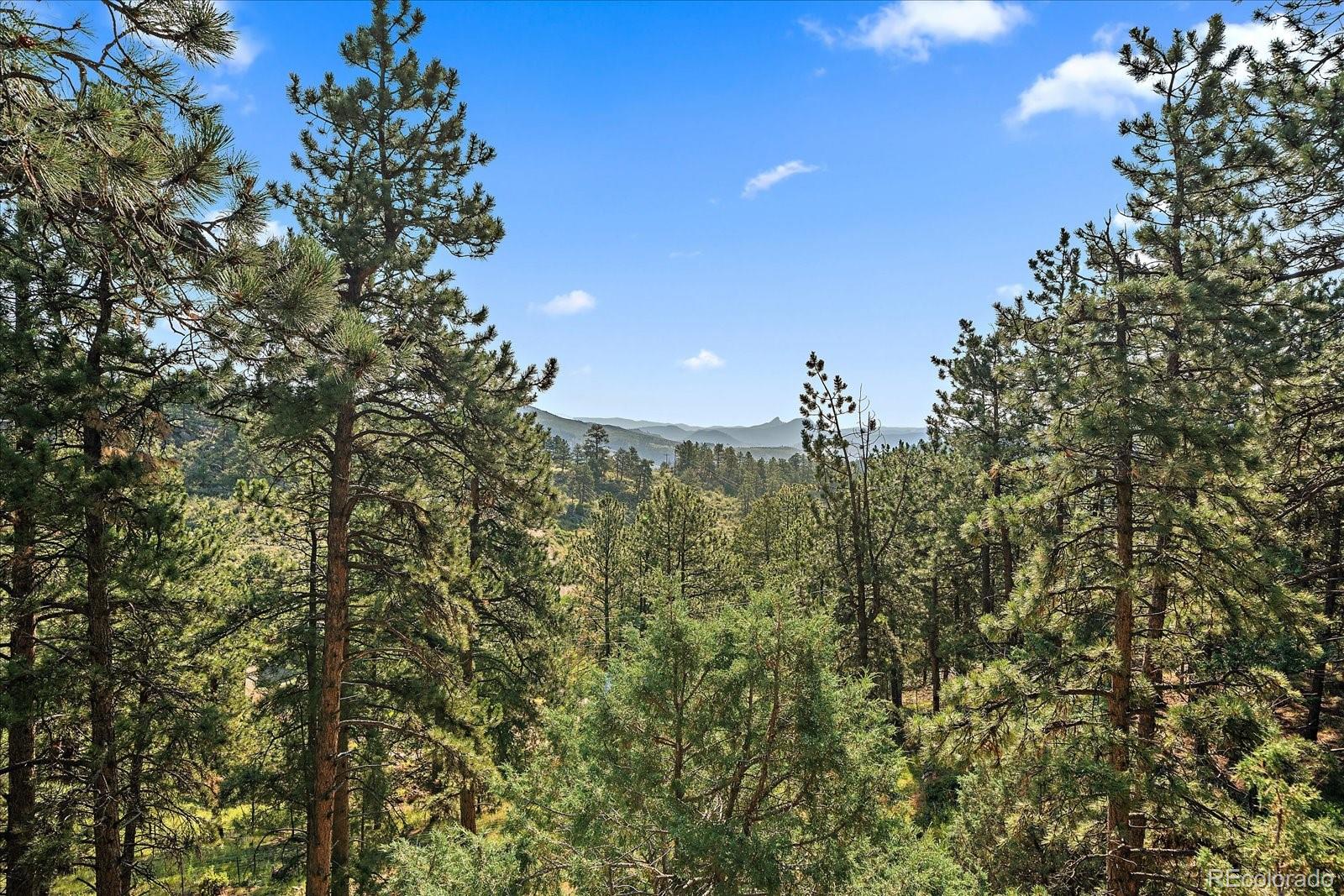 186 Bunny Road Bailey, CO 80421 - Photo 28 of 28